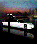 los angeles california wedding limousine.